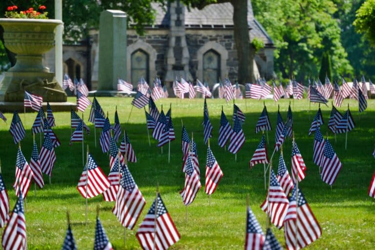 Rows of American flags displayed on a sunny lawn in Boston, USA, symbolizing patriotism, Mark Agard - Pexels